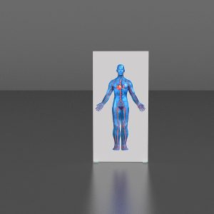 Light Box 1
